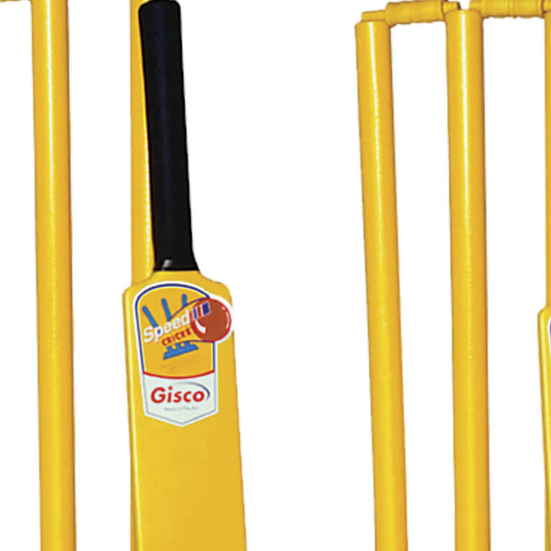 Cricket set